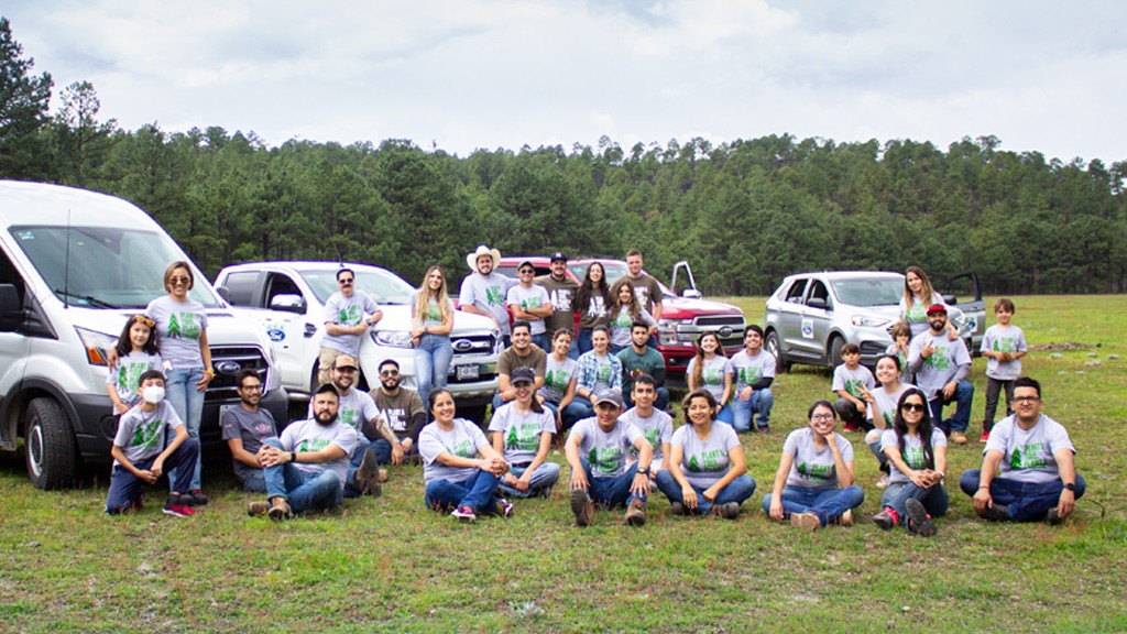 Chihuahua Engine Site Takes Charge of Reforestation After Forest Fires